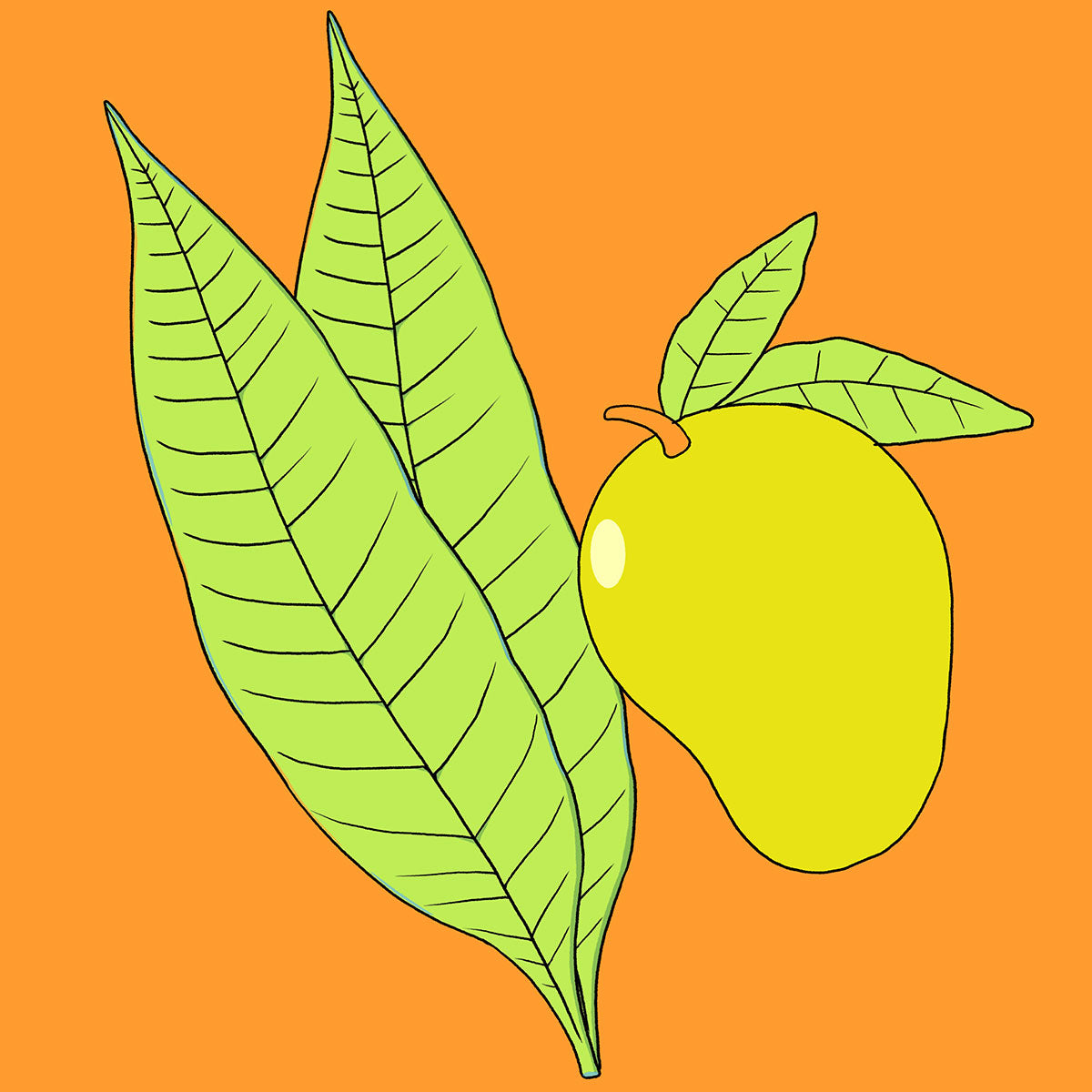 Mango Leaf